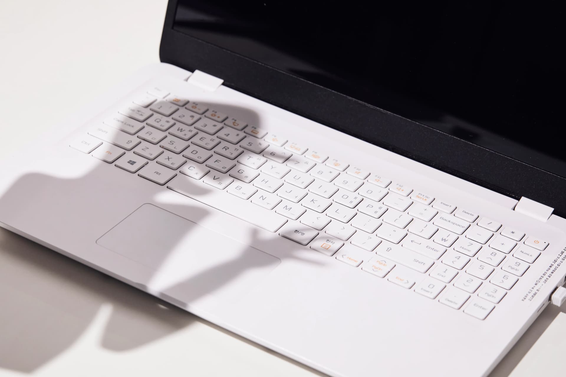 금융사기 신고 대응 방법 절차