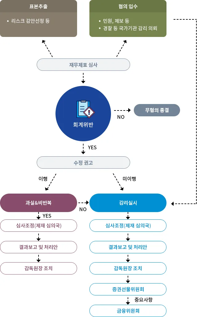 대륜 금융그룹 사전감리자문 감리 절차